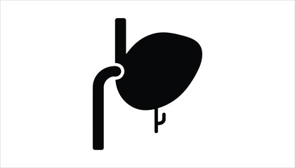 Human bladder icon vector black medical anatomy organ illustration