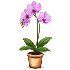 Pink orchid plant in a terracotta pot, light background, illustration style