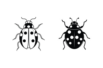 Ladybug Vector Illustration Two Beetle Species Graphic Design Elements Line Art
