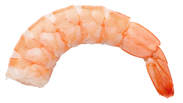 A shrimp with a smooth, curved body and a distinct orange-pink hue, showcasing its segmented shell and prominent tail.
