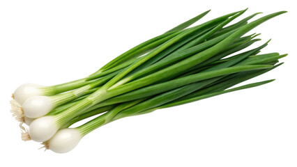 Fresh green onions with white bulbs, showcasing vibrant long green stalks and firm, round bases.