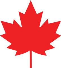The red maple leaf is a national symbol and icon of Canada, often featured on the Canadian flag as a vector illustration and 3D design