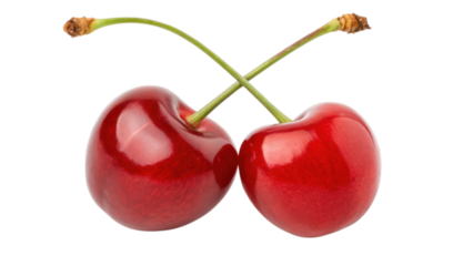 Two glossy red cherries with green stems intertwined, showcasing their vibrant color and fresh appearance.