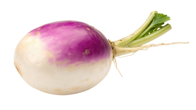 A round, purple and white turnip with green leaves protruding from its top.