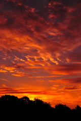 Red sunset sky over a silhouetted forest