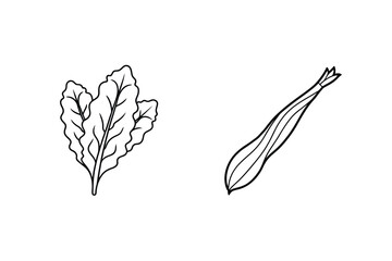 Simple Line Art Vector Drawing Of Lettuce And Asparagus Vegetable
