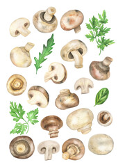 Watercolor set of mushrooms champignons