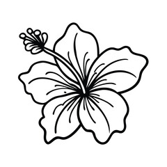 Hibiscus Flower Vector Illustration