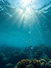 Underwater view of bubbles rising toward the light above coral reefs and aquatic life