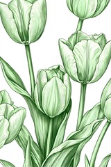 Obraz premium Elegant Green Tulips Botanical Illustration