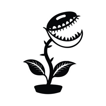 Venus Flytrap Vector Illustration