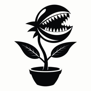 Venus Flytrap Vector Illustration
