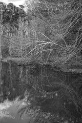 Historic Yates Mill County Park in Raleigh, NC