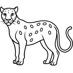 Elegant Jaguar Outline Illustration
