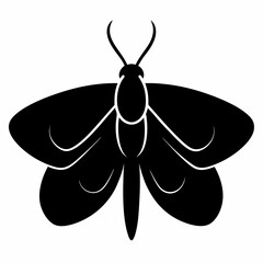 Elegant Moth Silhouette in Black Vector