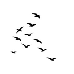 Fototapeta premium flock of birds illustration