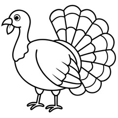 Elegant Turkey Outline Vector Design