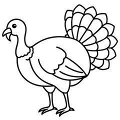 Elegant Turkey Outline Vector Design