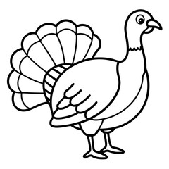 Elegant Turkey Outline Vector Design