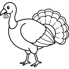 Elegant Turkey Outline Vector Design