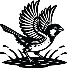 Obraz premium Sparrow Landing Water Splash Graphic Art