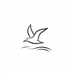 Naklejka premium Seabird Soaring