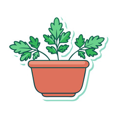 Parsley Herb Plant in Terracotta Pot Illustration