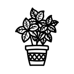 Solid Black Background for Design or Text Overlays