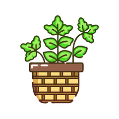 Cute Potted Herb Illustration on Black Background