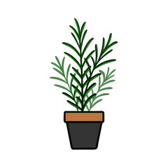Potted Rosemary Plant Illustration Isolated on Black Background