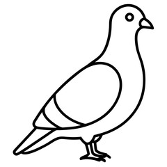 Graceful Pigeon Line Drawing