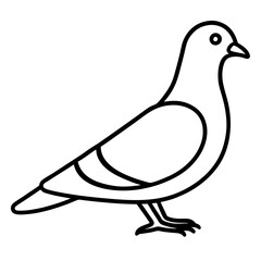Graceful Pigeon Line Drawing