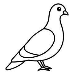 Graceful Pigeon Line Drawing