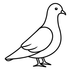 Graceful Pigeon Line Drawing
