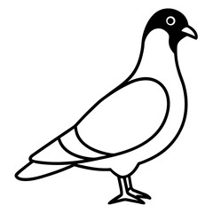 Graceful Pigeon Line Drawing