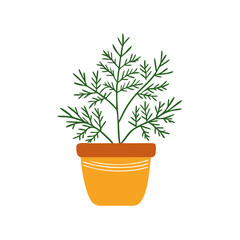 Cute Dill Herb Plant in Decorative Pot Illustration