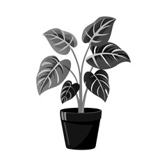 Monochrome Houseplant in Pot with Striped Leaves