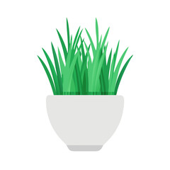 Minimalist grass in a white pot illustration art