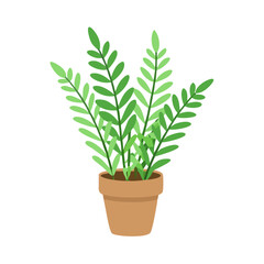 Cartoon ZZ plant in pot vector on black