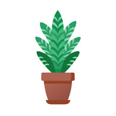 Cartoon Calathea plant in a pot on black background