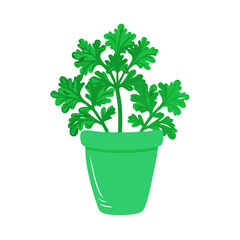 Green Potted Plant on Black Background for Design