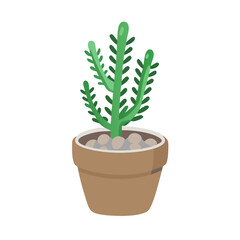 Cartoon Cactus Plant in Brown Pot on Black Background