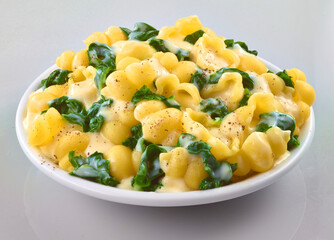 Pasta mit Spinat und Kaese Sauce, Nudeln, Kässpätzle, 