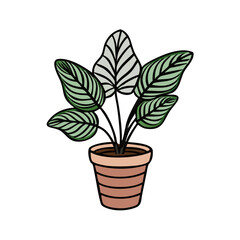 Cartoon Calathea Plant in Pot on Black Background