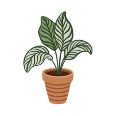 Potted Calathea Plant Illustration on Black Background