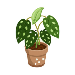 Monstera adansonii cartoon plant with holes in leaves