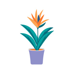 Bird of Paradise plant in pot vector illustration