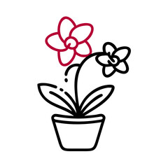 Simple crimson flower isolated against a solid black background