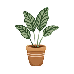 Cartoon Calathea plant in a pot on black background