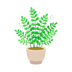 Potted maidenhair fern plant with black background illustration